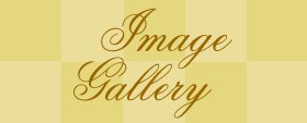 Image Gallery